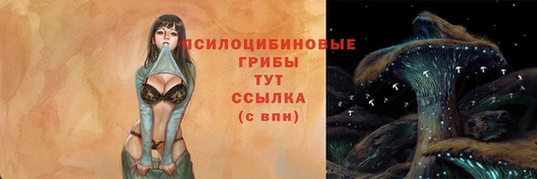 гидра Абдулино
