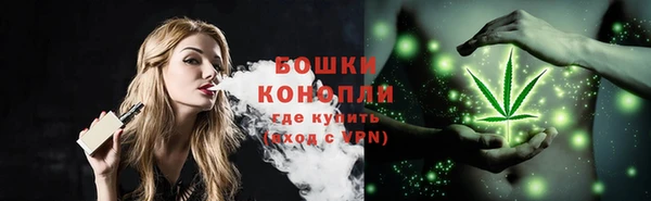 мяу мяу кристалл Переславль-Залесский