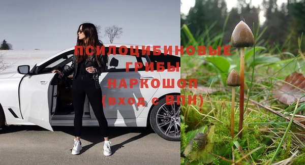 гидра Абдулино