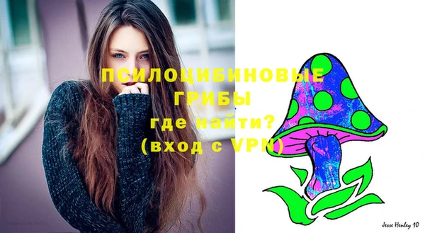 гидра Абдулино