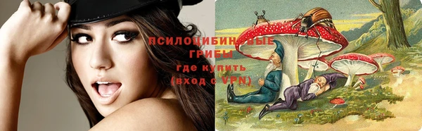 гидра Абдулино