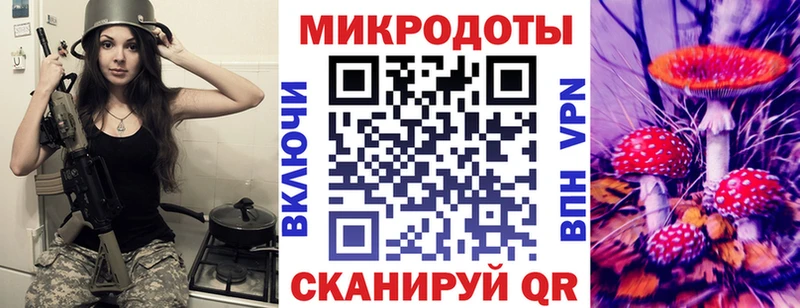 купить  цена  Отрадный  darknet наркотические препараты  Псилоцибиновые грибы Psilocybe 
